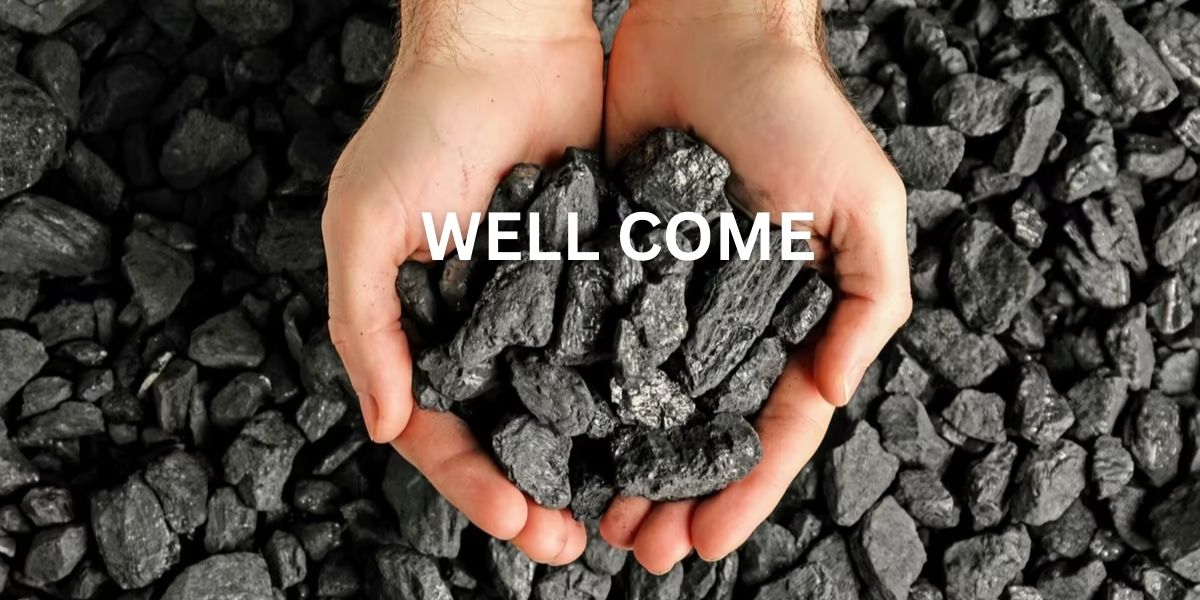 Mine-To-Plant Solutition Provider (4)